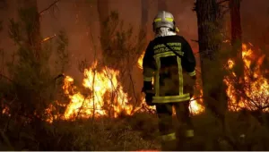 Saat Prancis dan Spanyol Berjuang Mengatasi Kebakaran Hutan, Gelombang Panas Baru Mengancam Eropa
