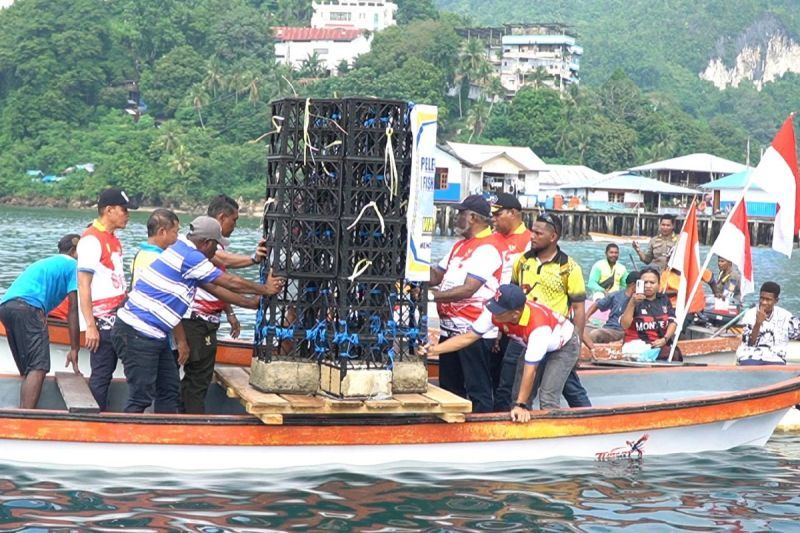 Rumah Ikan di Teluk Humboldt Diperbanyak, Pemkot Jayapura Pulihkan Sumber Daya Laut