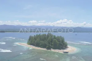 Ada Kima Raksasa Terbesar di Indonesia! DPR RI Siap Bedah 'Surga Tersembunyi' di Abdya  Bakal