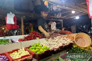 Harga Cabai Rawit Rp54.350/Kg, Telur Ayam Rp29.600/Kg