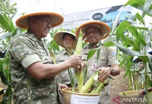 Pemilihan Sekolah untuk Percontohan Pengembangan Urban Farming