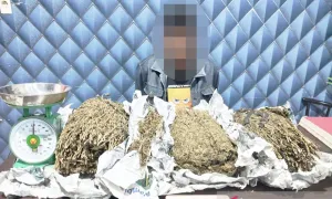 Sembunyikan 2,1 Kg Ganja di Dalam Guci Air, DPO Narkoba Ini Tak Berkutik Digerebek Polisi!
