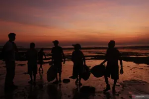 Tak Lagi Jual Bahan Mentah, NTT Genjot Klaster Rumput Laut Bernilai Tambah