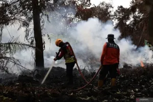 Antisipasi El Nino dan Kemarau, DPR Dorong BNPB Koordinasikan Pendataan Ancaman Bencana