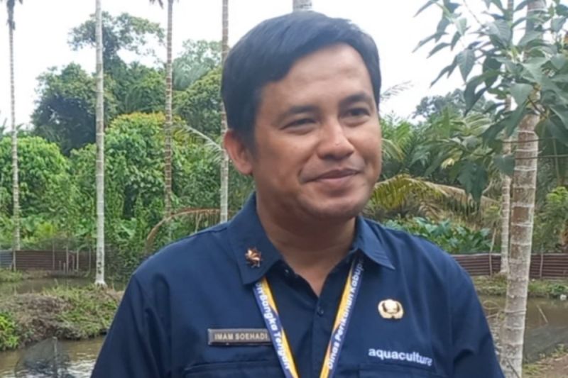 Bangka Tengah Targetkan 6 Klaster Budi Daya Perikanan Terpadu, Perkuat Produksi dari Hulu ke Hilir.