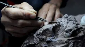 Ilmuwan Temukan Spesies Dinosaurus Baru Berusia 210 Juta Tahun di Zimbabwe, Ungkap Misteri Evolusi Afrika