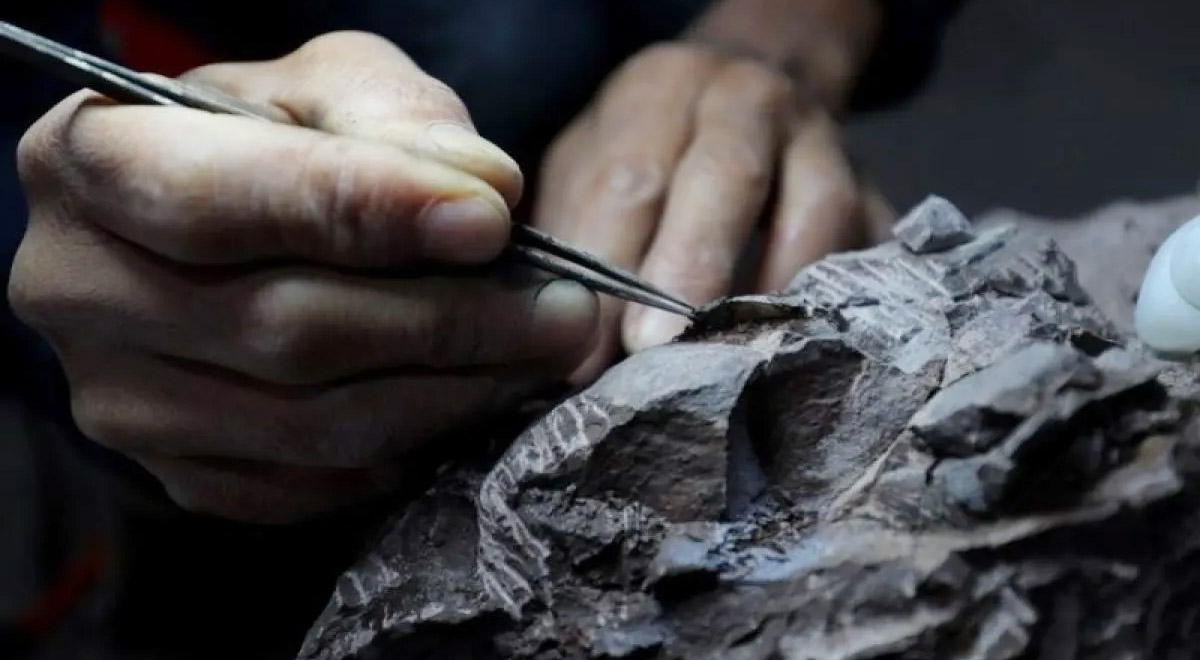 Ilmuwan Temukan Spesies Dinosaurus Baru Berusia 210 Juta ...