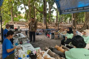Kepulauan Seribu Kendalikan Populasi Kucing melalui Sterilisasi