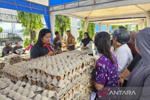 Pemprov Papua Sesuaikan Tat...
