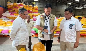 Bulog Wajibkan Sertifikasi Penggilingan Padi Mitra Mulai 2027, Ini Tujuannya