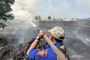 Ini yang Dilakukan PBD Kalsel untuk Antisipasi Karhutla