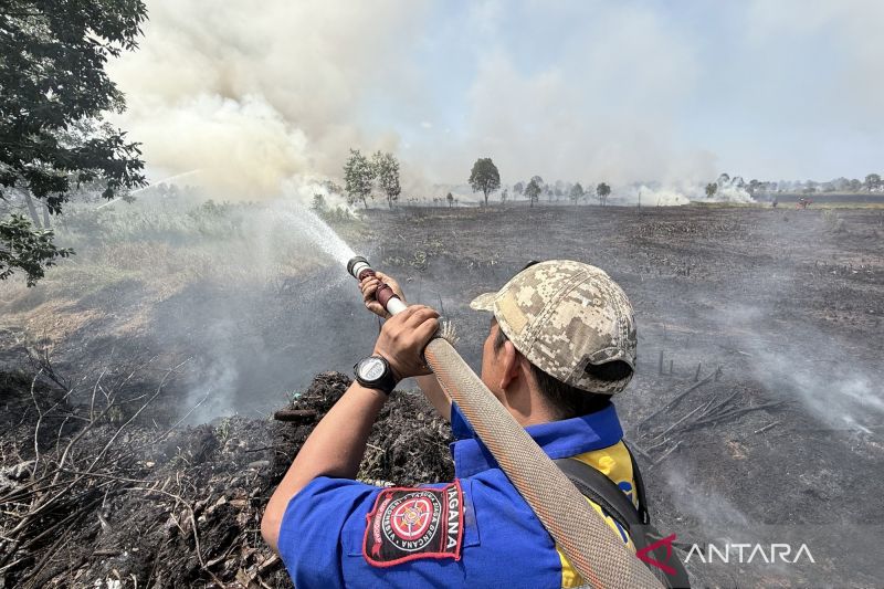 Ini yang Dilakukan PBD Kalsel untuk Antisipasi Karhutla