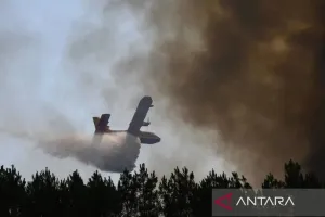Kebakaran Hutan di Prancis Picu Ledakan Peluru Sisa Perang Dunia II