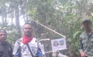 Pelepasliaran Dua Kakaktua Koki di Hutan Adat Karangguli Kepulauan Aru