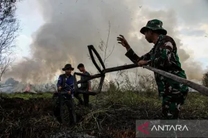 Atasi Kebakaran Hutan, Akademisi Diminta Ciptakan Inovasi Penanggulangan Karhutla
