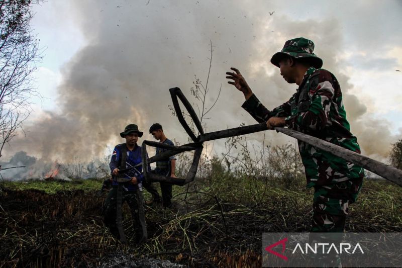 Atasi Kebakaran Hutan, Akademisi Diminta Ciptakan Inovasi...