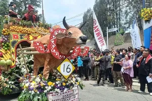 Festival Bunga dan Buah Karo Bukan Cuma Meriah, Ekonomi Warga Ikut Bersemi