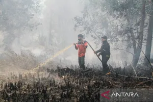 Gerak Cepat, BPBD Palangka Raya Tangani 130 Karhutla pada 2026