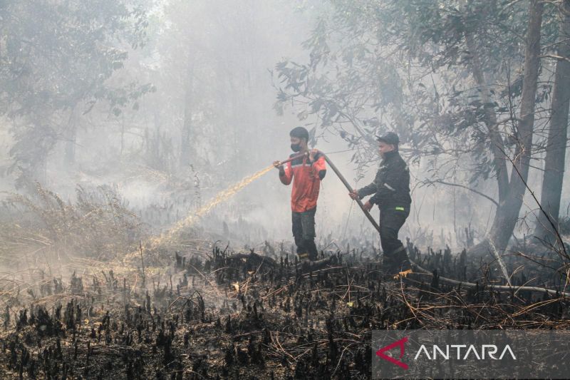 Gerak Cepat, BPBD Palangka Raya Tangani 130 Karhutla pada...