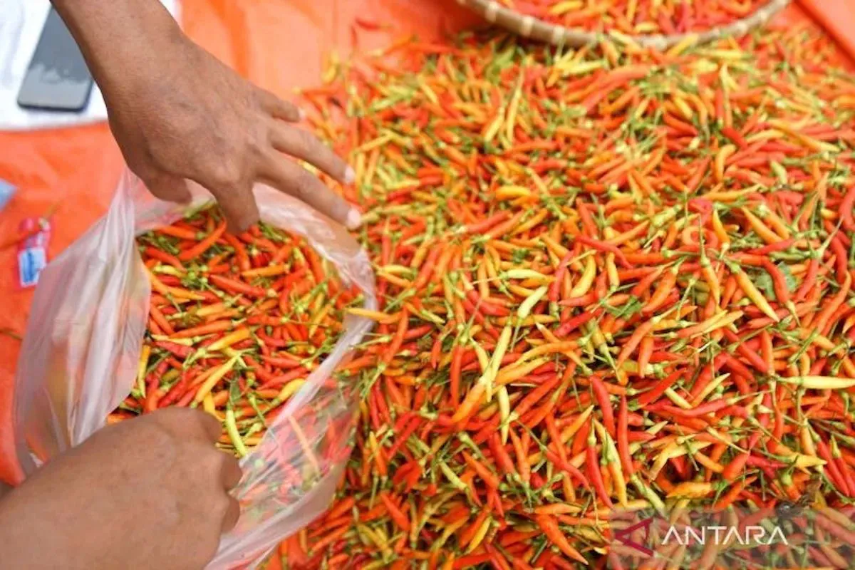 Harga Telur Ayam Rp29.650/K...