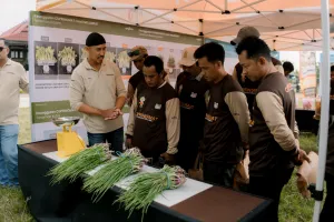 Inovasi Dorong Pertanian Lebih Produktif di Tengah Berbagai Tantangan