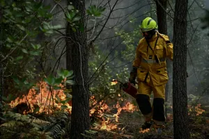 Kabar Baik dari Prancis: Kebakaran Hutan Dahsyat Akhirnya Berhasil Dikendalikan