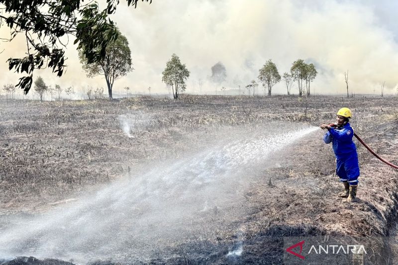 Karhutla Mengancam, Kalsel Tunggu Kondisi Awan untuk Oper...