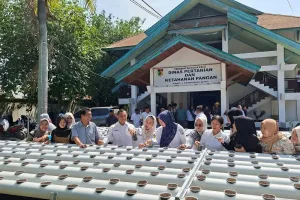 Lahan Sempit Bukan Halangan, Palu Genjot Budi Daya Hidroganik