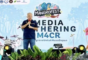 Otorita Akan Gunakan Mangrove sebagai Stuktur Alami dari Abrasi