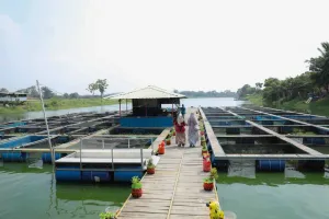 Pemkot Tangerang Acungi Jempol Kampung Keramba, Panennya Bawa Rezeki untuk Warga