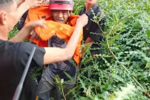 Tim SAR Gabungan Temukan Pria 27 Tahun yang Hilang di Hutan Kolam Asahan