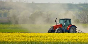 Belgia Dikepung Gelombang Panas, Sektor Pertanian Terancam Gagal Panen