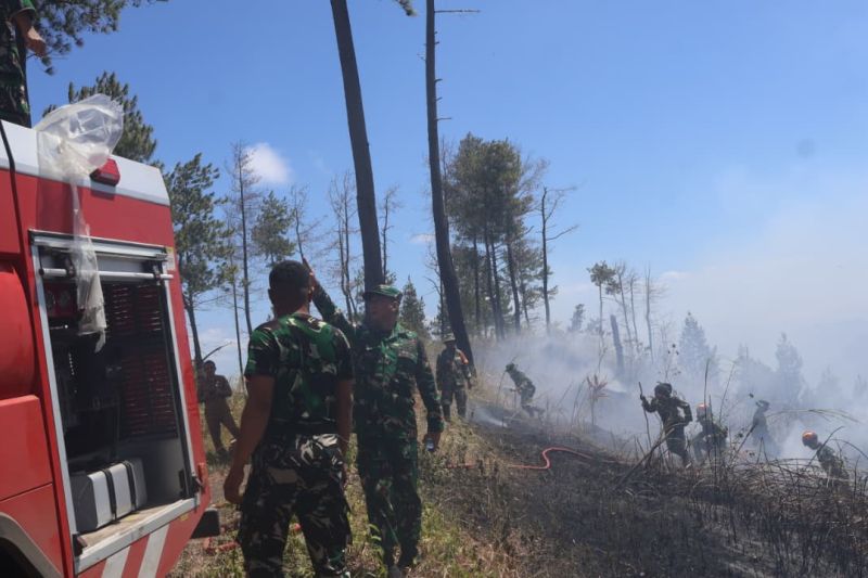 Cegah Kebakaran Meluas, Tentara Diterjunkan untuk Padamka...