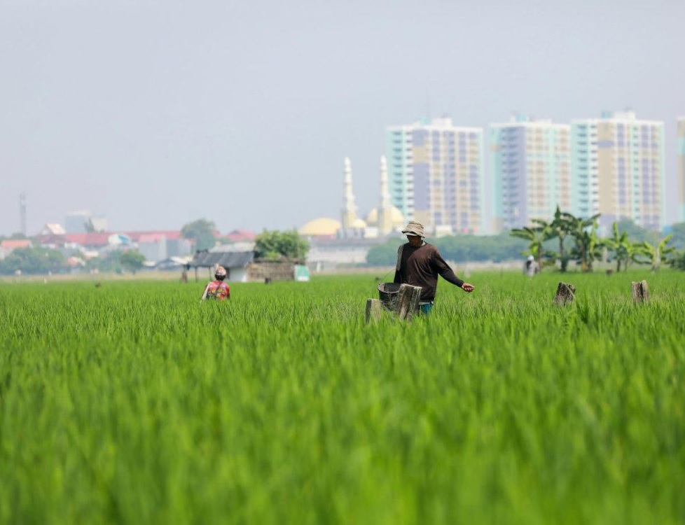 Hadapi Kemarau, Ini yang Dilakukan KPKP Jakarta Utara unt...