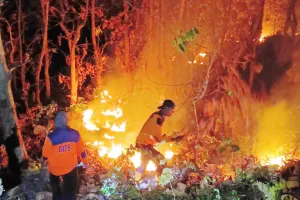 Jalur Arak-Arak Membara! Kebakaran Hutan Situbondo-Bondowoso Lahap 4 Hektare Lahan