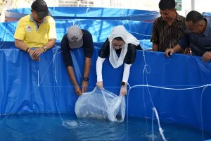 Pemkot Palu Kembangkan Budi Daya Ikan Sistem Bioflok untuk Perkuat Ketahanan Pangan