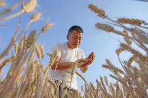 Tiongkok Waspadai Risiko Kerusakan Panen Pertanian