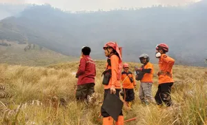 Antisipasi Kebakaran Gunung Bromo Meluas, BPBD Probolinggo Siaga
