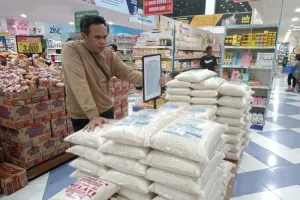 Gawat! Harga Beras Kian Mahal, BPS Ungkap Kenaikan Belum Berhenti