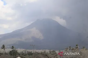 Gunung Lewotobi Laki-Laki Alami Erupsi Setinggi 300 Meter