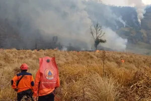 Karhutla di Gunung Bromo Meluas, Sebagian Akses Wisata Ditutup