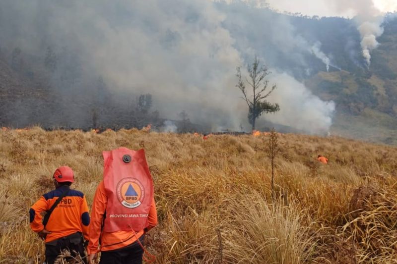 Karhutla di Gunung Bromo Meluas, Sebagian Akses Wisata Di...