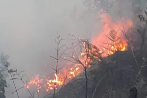 Kebakaran Hutan Melanda Bromo, Tiga Jalur Ditutup Wisatawan Hanya Bisa Sampai Lautan Pasir