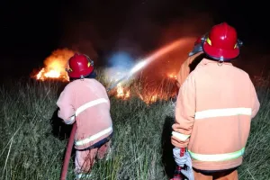 Kebakaran Hutan Melanda Distrik Pugima, Tim Pemkab Jayawijaya Lakukan Pemadaman.