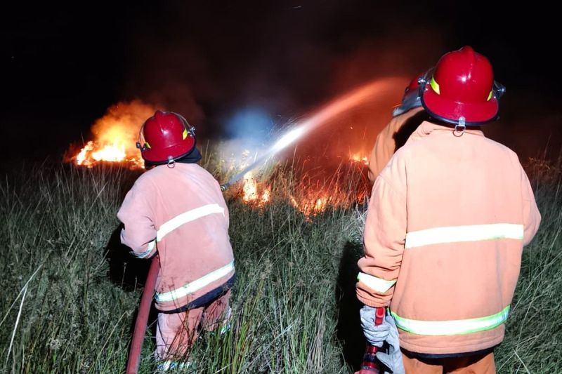 Kebakaran Hutan Melanda Distrik Pugima, Tim Pemkab Jayawi...