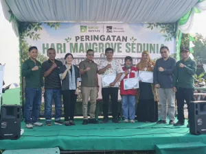 KKP Dukung Pemanfaatan Ruang Laut untuk Lindungi Mangrove & Populasi Kerang Dara di Belitung