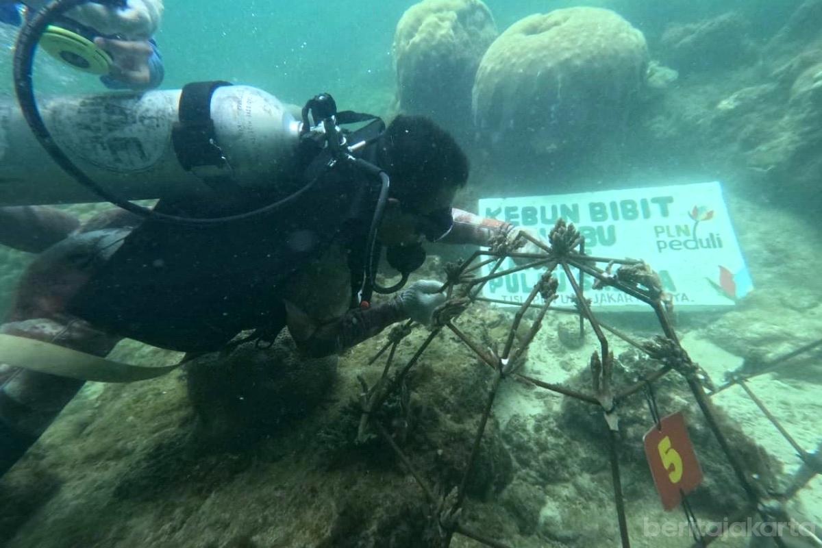 Konservasi di Pulau Sabira Kepulauan Seribu Perkuat Ekosistem Laut dan Kesejahteraan Nelayan