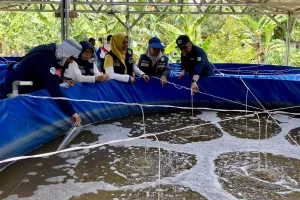 Pemerintah Siapkan Program Desa Tematik Perikanan, Desa-Desa Siap Jadi Motor Ekonomi Baru