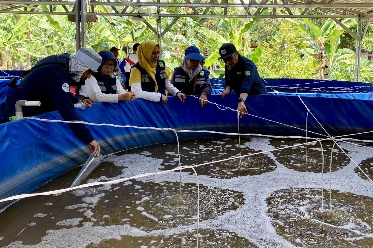 Pemerintah Siapkan Program Desa Tematik Perikanan, Desa-D...