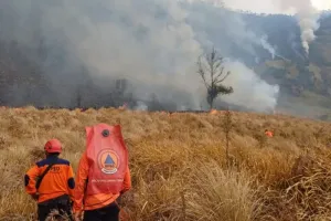 Update Kebakaran Hutan Gunung Bromo: Hampir 8 Hektare Hangus